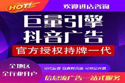 SEM服务案例：提升网站流量