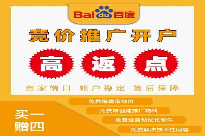 某品牌SEM推广策略的成效与启示